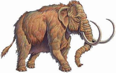 mammut