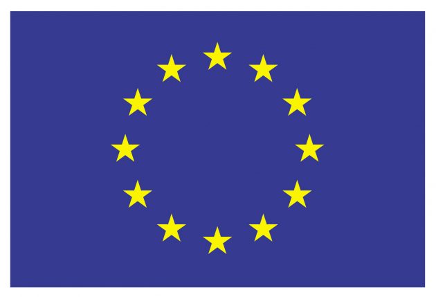 eu-flagget